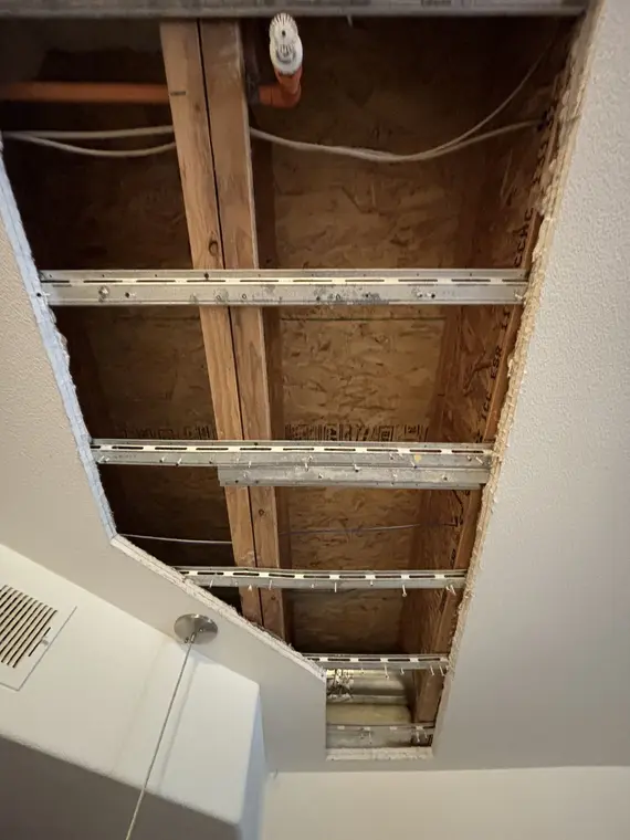 Drywall Ceiling and CArpet Lotus — 1