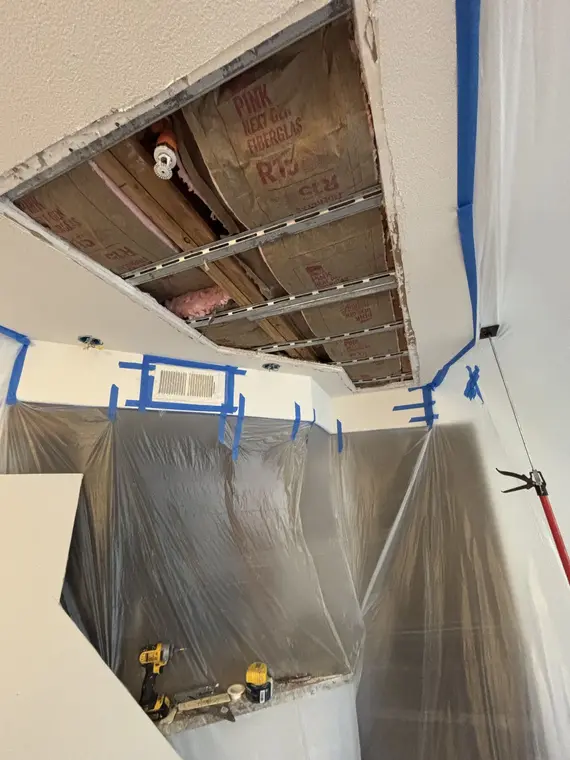 Drywall Ceiling and CArpet Lotus — 2