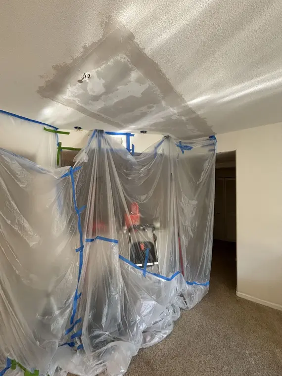 Drywall Ceiling and CArpet Lotus — 3