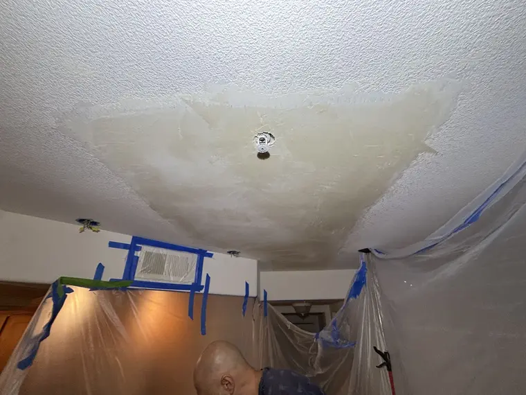 Drywall Ceiling and CArpet Lotus — 4