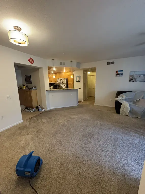Drywall Ceiling and CArpet Lotus — 5