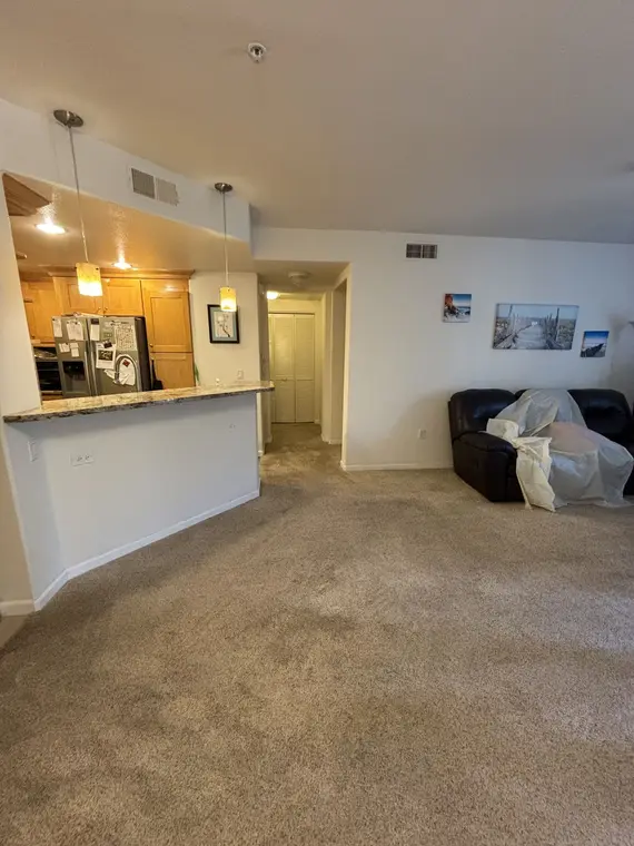 Drywall Ceiling and CArpet Lotus — 6