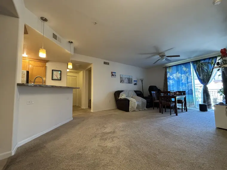 Drywall Ceiling and CArpet Lotus