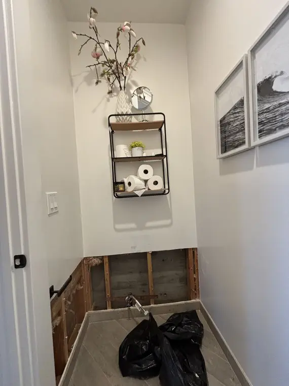 Drywall Wall and Carpet SJ — 3