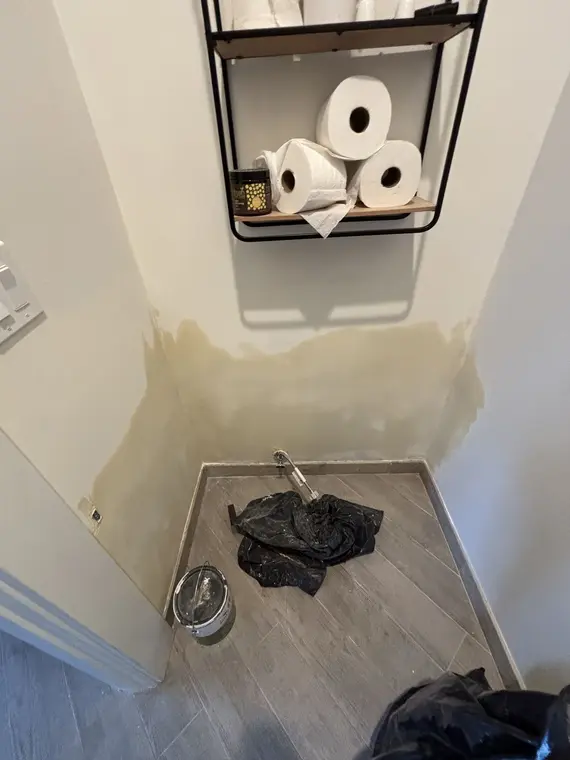 Drywall Wall and Carpet SJ — 8