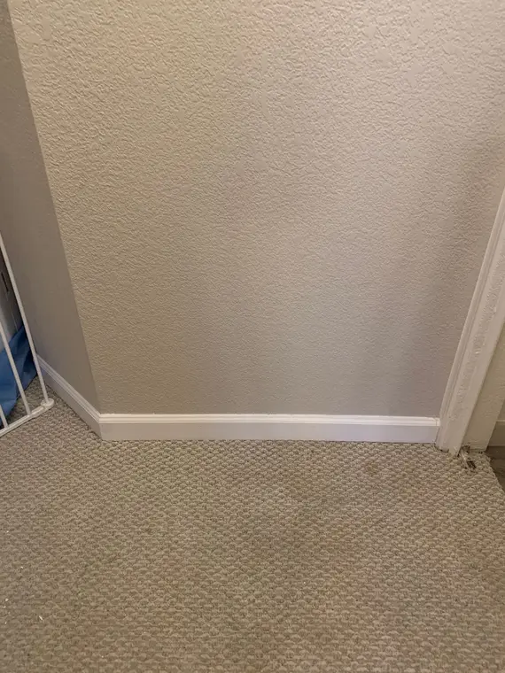 Foster City - Celing:Wall:Floor — 4