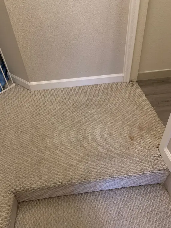 Foster City - Celing:Wall:Floor — 5