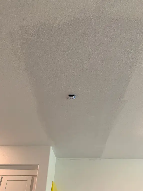 Kuy South SJ Ceiling and Wall — 8