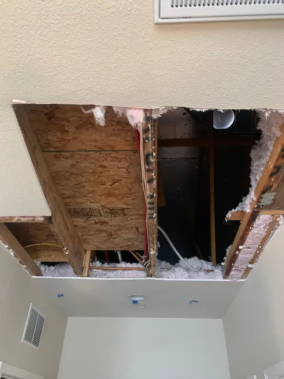 Saratoga Ceiling — 1