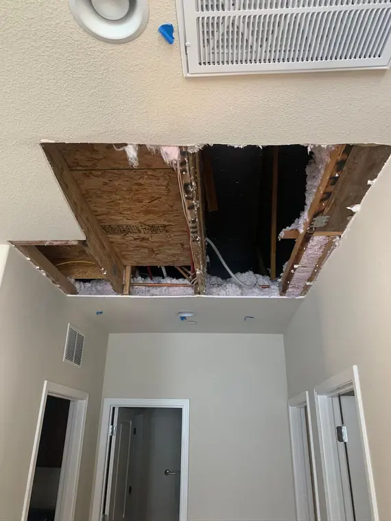 Saratoga Ceiling — 2
