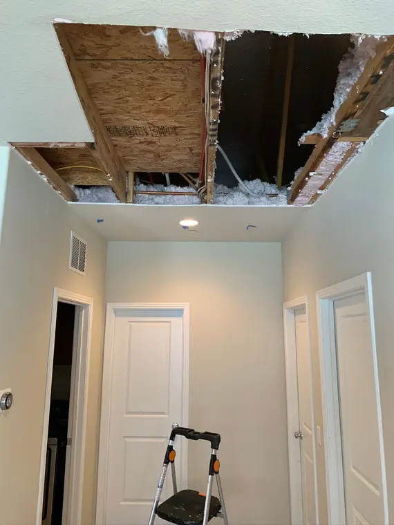 Saratoga Ceiling — 3