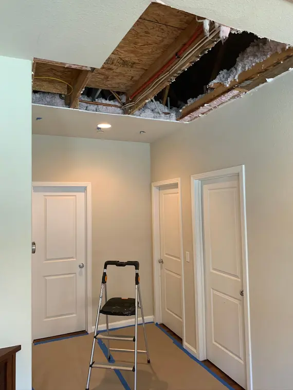 Saratoga Ceiling — 4