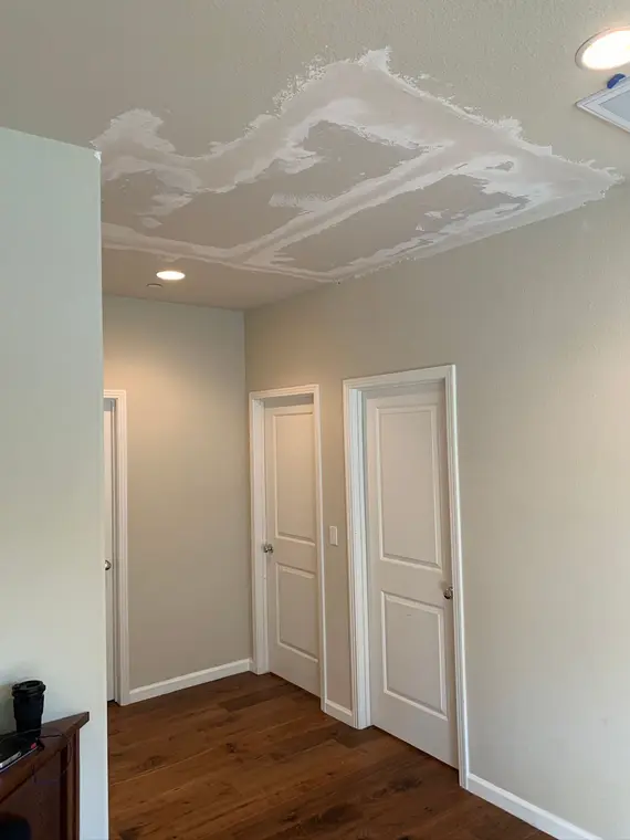 Saratoga Ceiling — 6