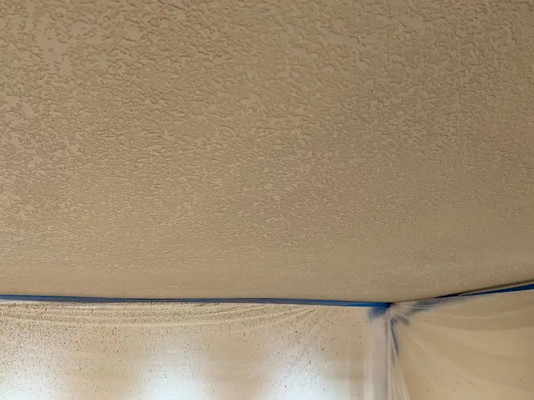 Saratoga Ceiling — 8