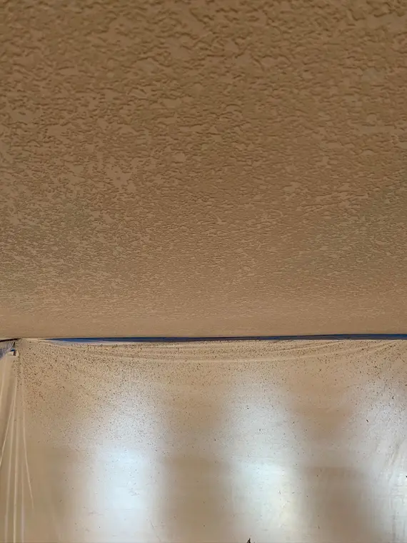 Saratoga Ceiling — 9