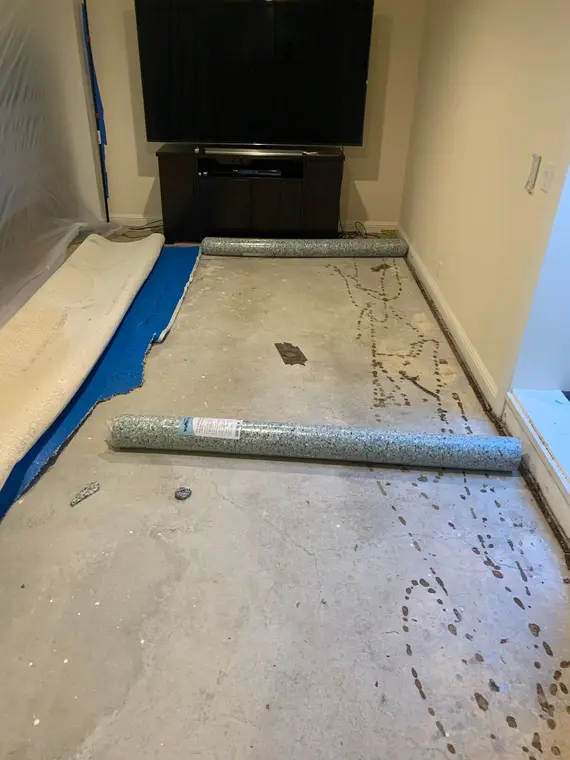 Saratoga Carpet ADU — 1
