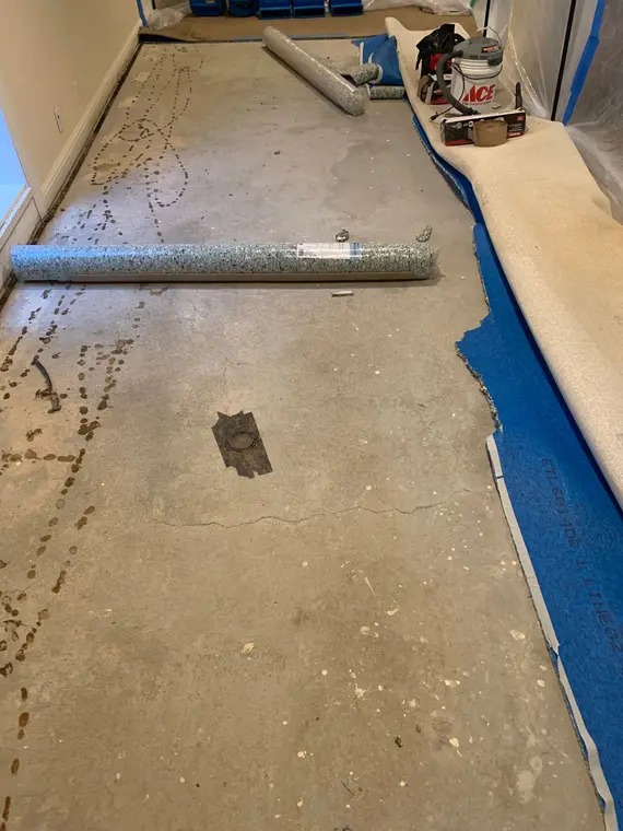 Saratoga Carpet ADU — 2