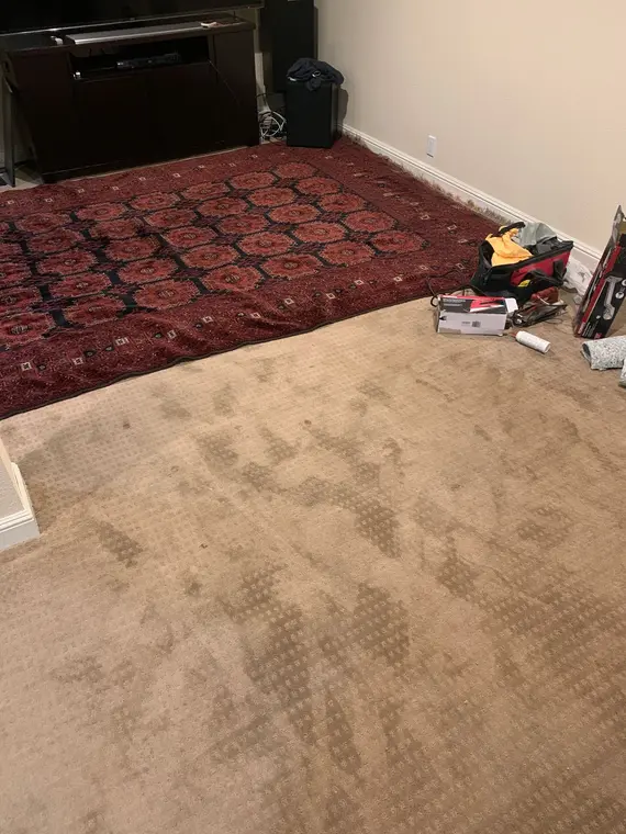 Saratoga Carpet ADU — 4
