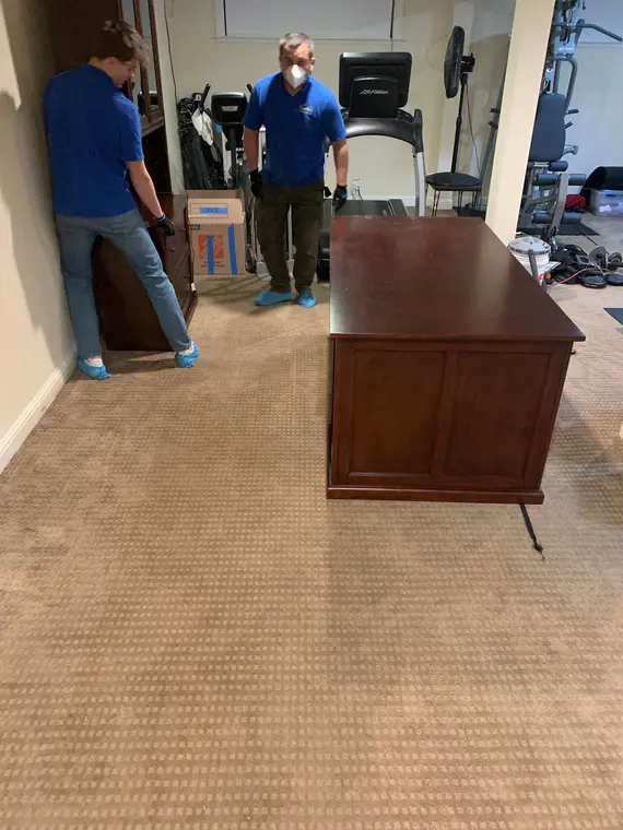 Saratoga Carpet ADU