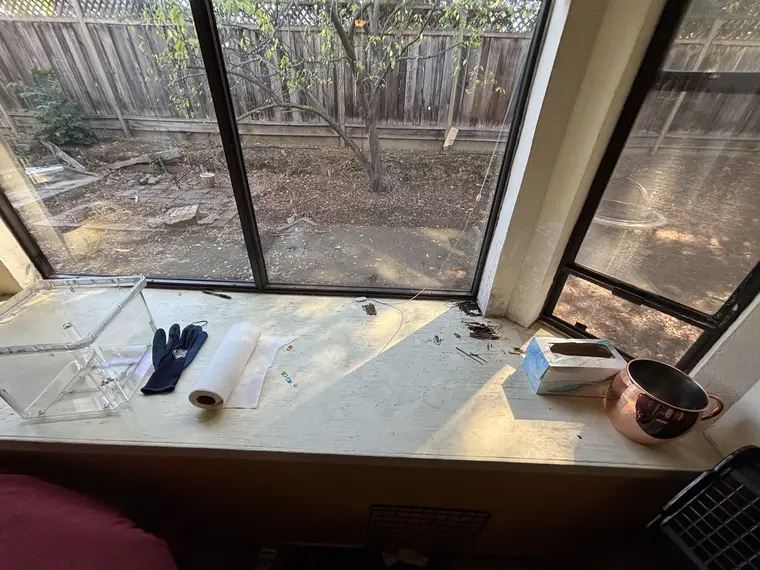 Andrew - Flooring and Drywall — 10