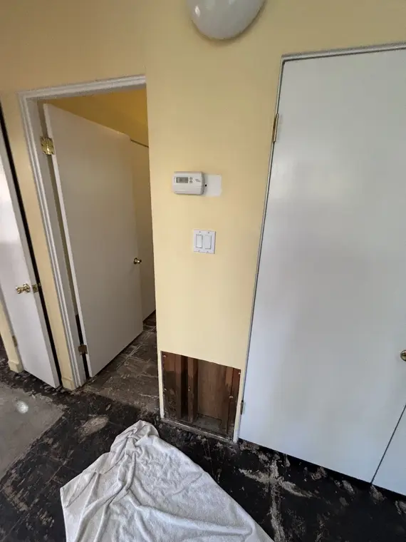 Restoration Palo Alto — 2
