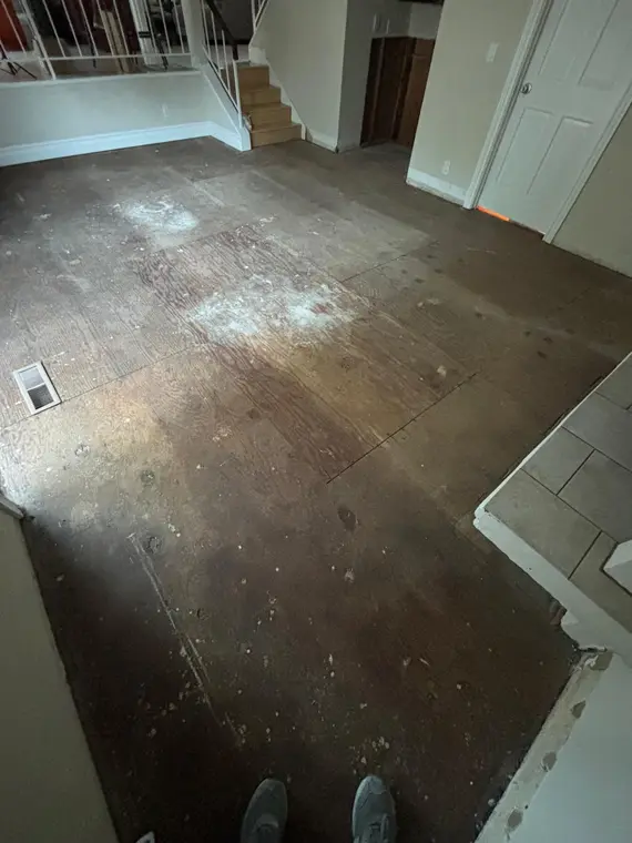 Vijay Flooring and Walls LG — 1